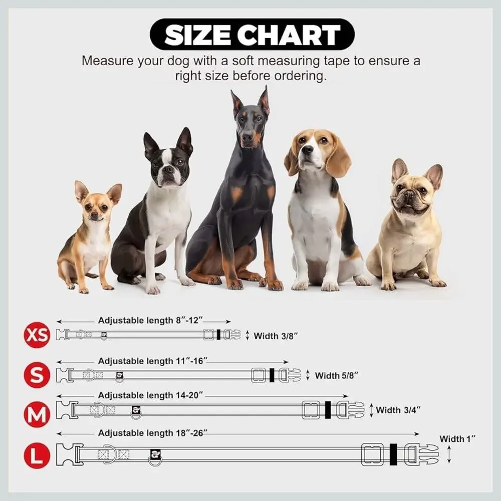 Small Dog Collar with Airtag Holder